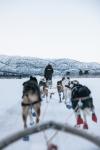 Geilo Husky Extra