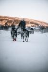 Geilo Husky Extra