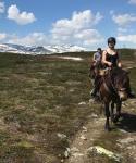 hest