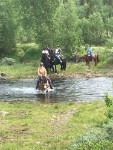 hest