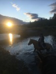 hest