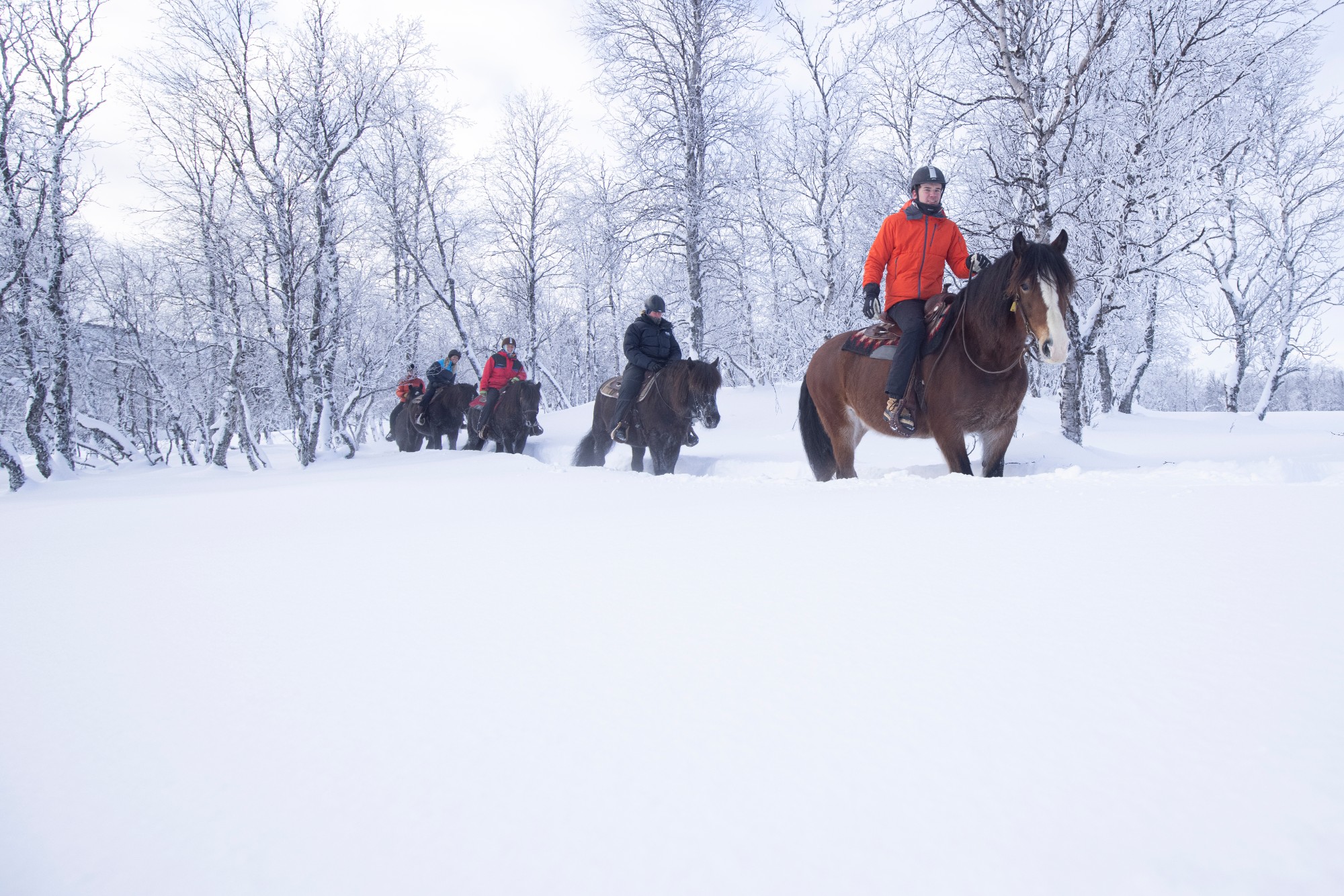 Horseback riding