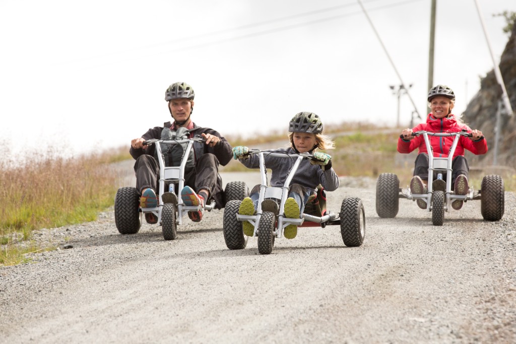 Mountain Cart