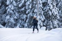 Langrenn i Hemsedal