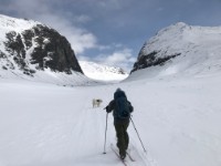 Fjellski i Hemsedal