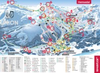 Skiorientering