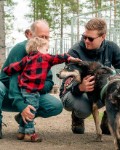 Hundekjøring på hjul
