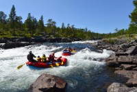 Rafting på Numedalslågen