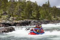 Rafting på Numedalslågen