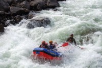 Vikingrafting