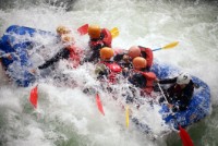 Vikingrafting