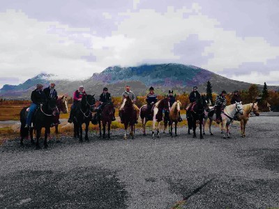 Rideleir med Hemsedal Western Horses på Haugen Gård
