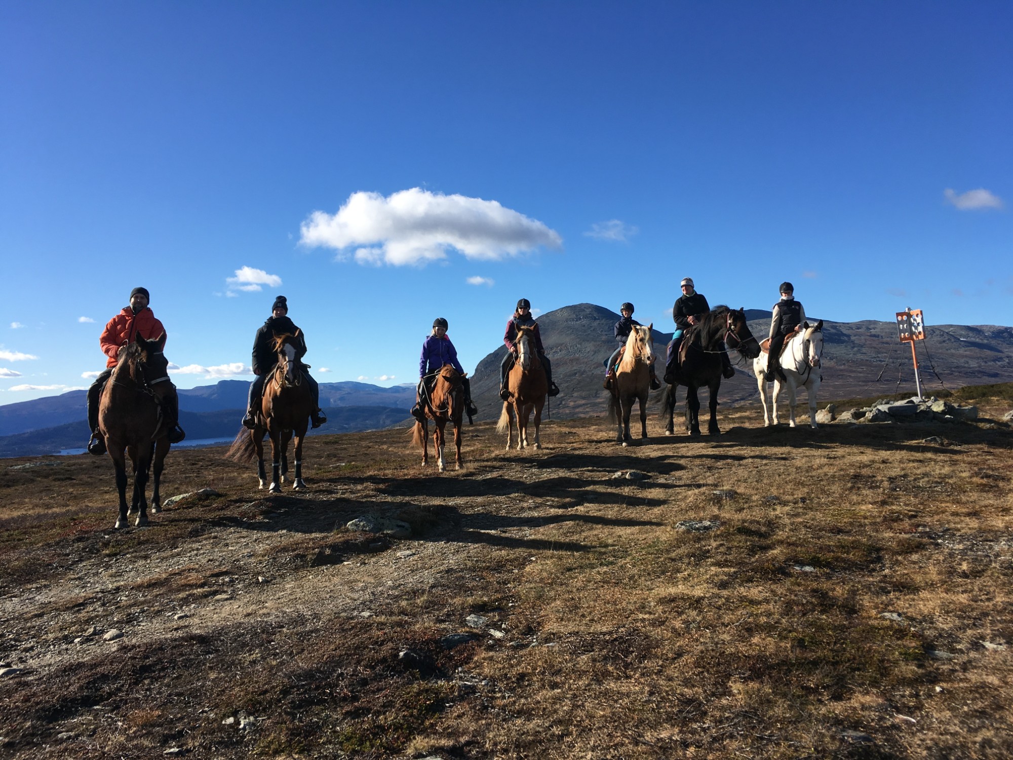 Heldagstur på hesteryggen