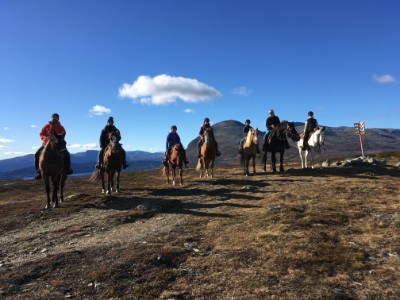 Heldagstur med Hemsedal Western Horses