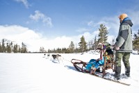 Overnattingstur med Hemsedal Huskies