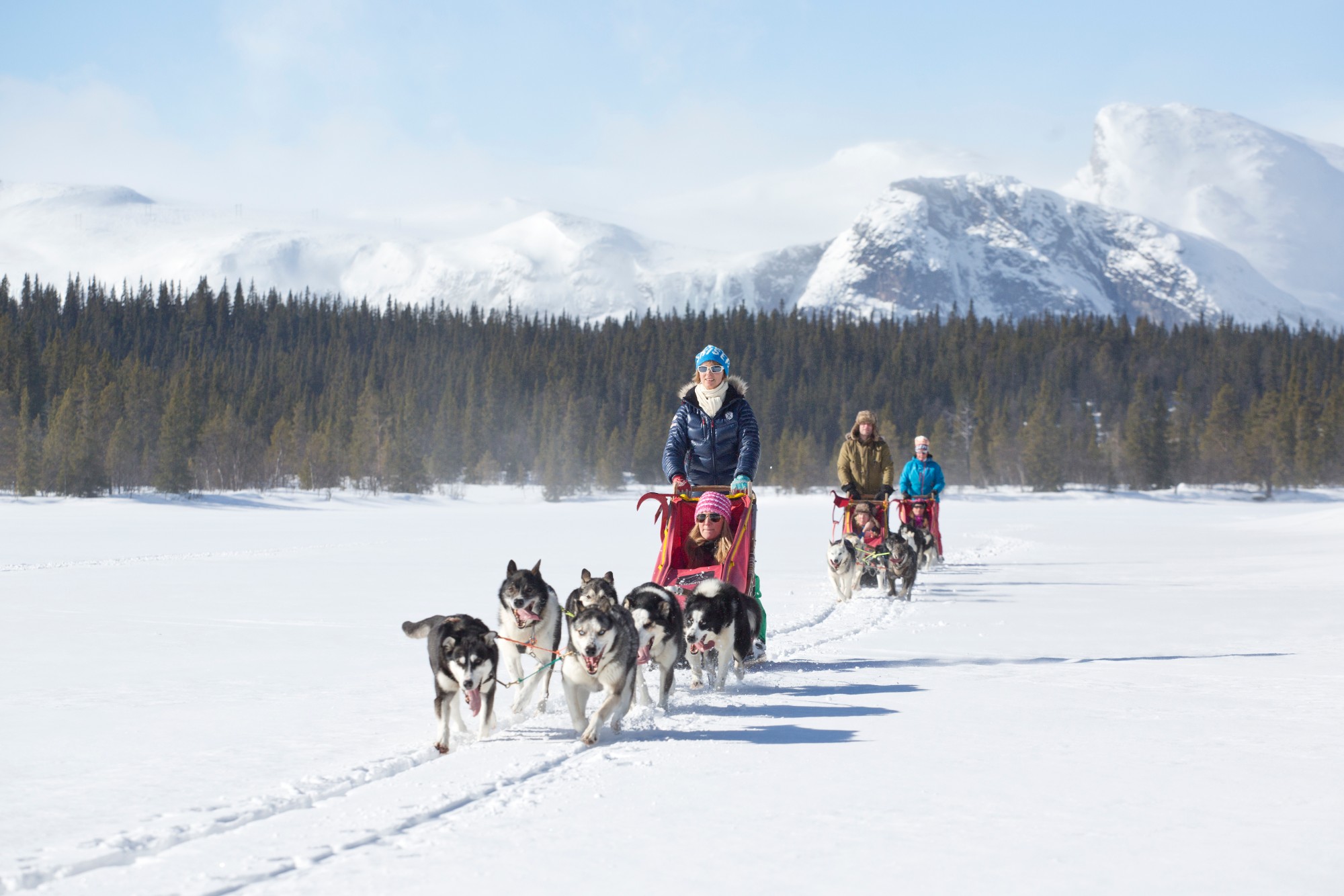 Dog sledding