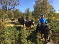 Ride og aktivitetsleir på Haugen Gård