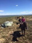 Ride og aktivitetsleir på Haugen Gård