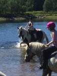 Ride og aktivitetsleir på Haugen Gård