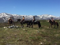 Ride og aktivitetsleir på Haugen Gård