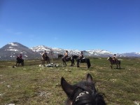 Ride og aktivitetsleir på Haugen Gård