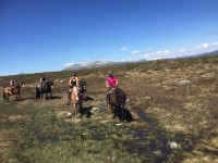 Ride og aktivitetsleir på Haugen Gård