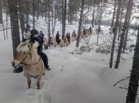 Tur i skogen med rideleiren i vinterferien