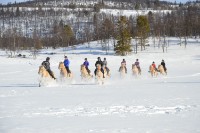 Galopp i snøen med rideleiren i vinterferien