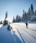 Aktiviteter i nærområdet
