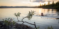 Lakes where to swim or rivers where to fish.