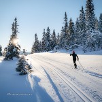 Lots of prepared cross-country trails just by the cabin!