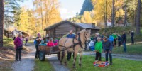 Hallingdal museum - billetter