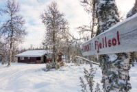 Fjellsol