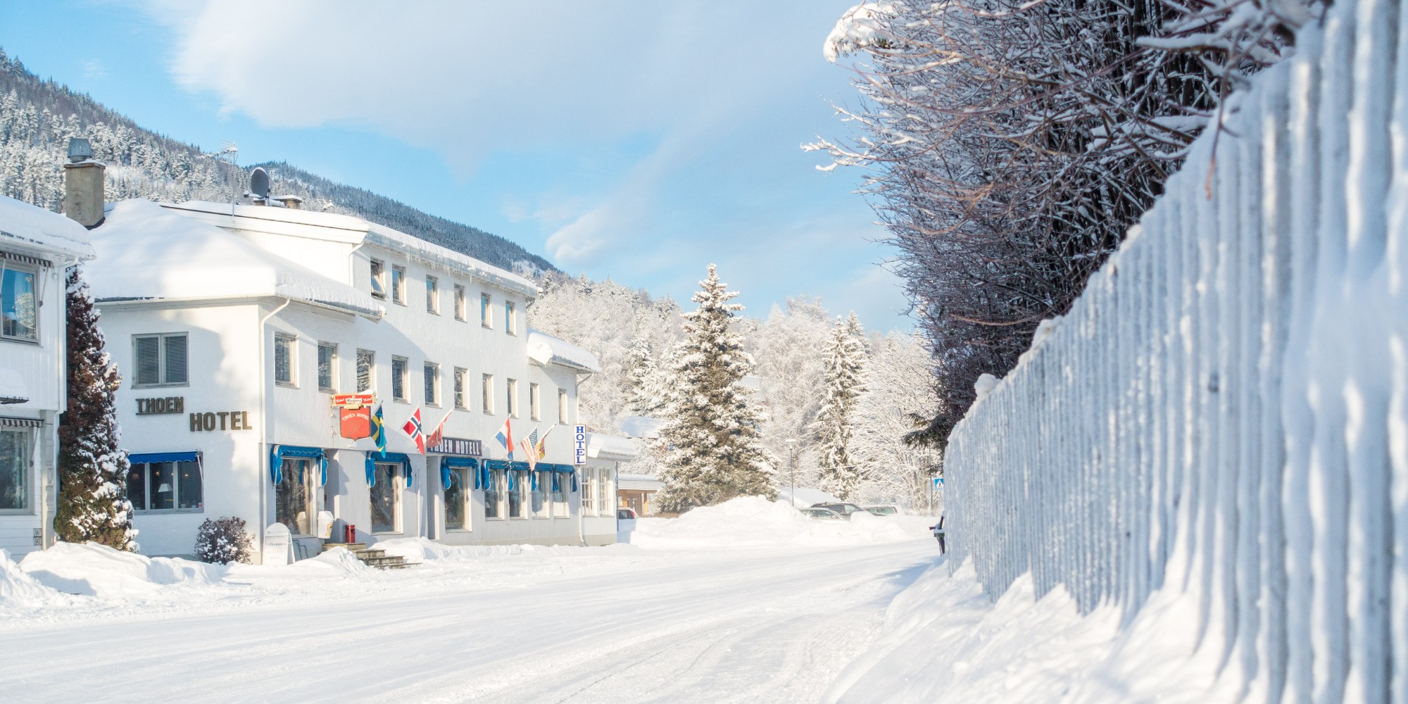 Thoen hotell dobbeltrom - Nesbyen Booking